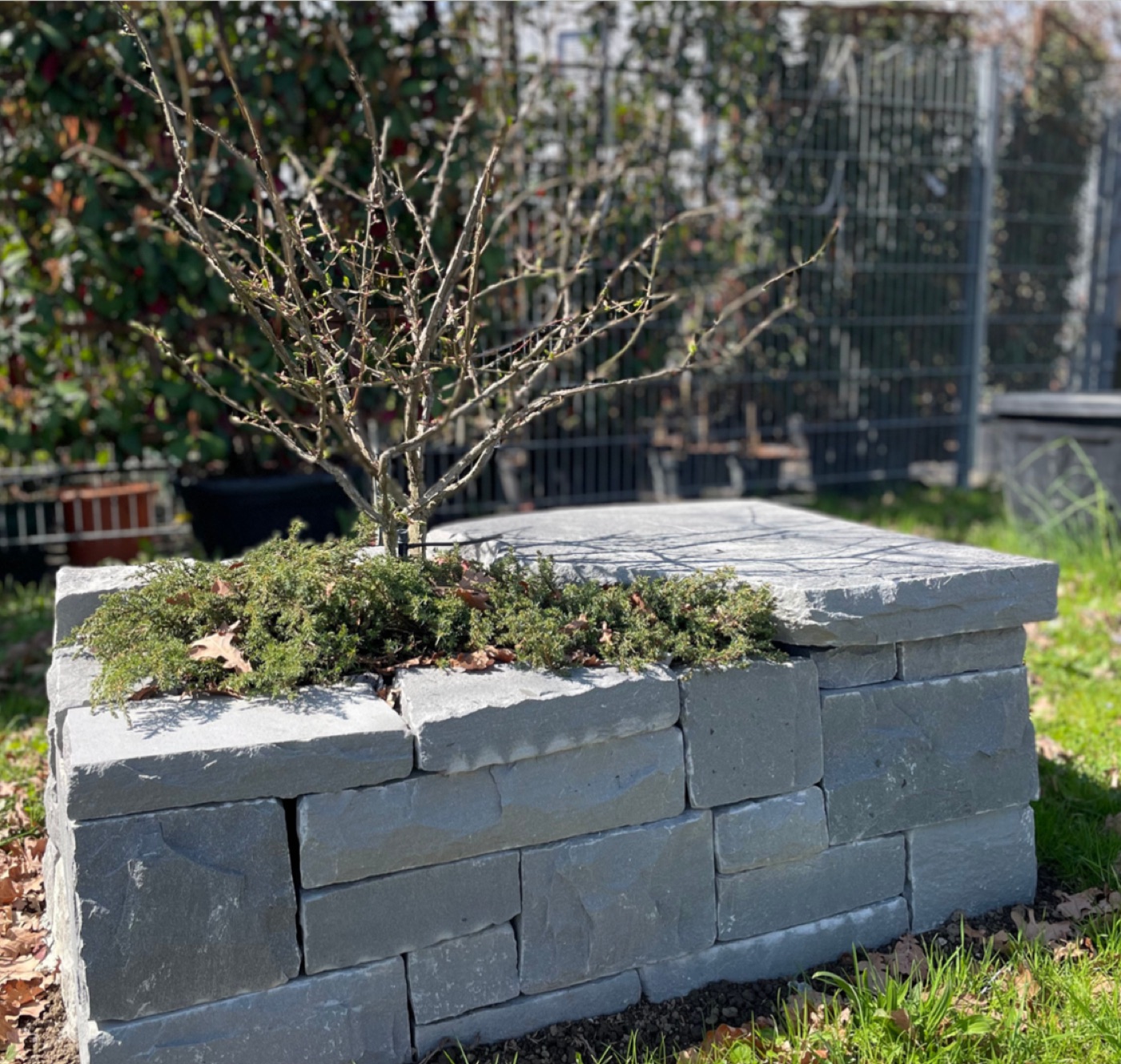Niedrige Natursteinmauer als Beeteinfassung mit Abdeckplatte
